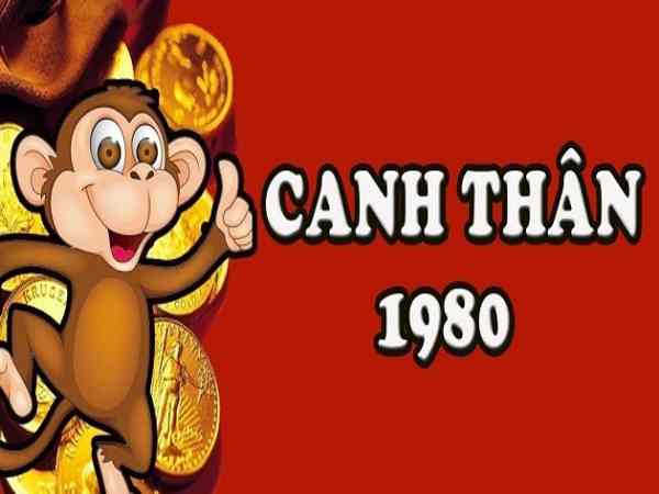 Tổng quan tử vi nam mạng sinh năm 1980 mệnh gì