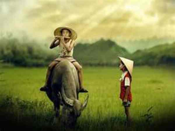Sinh năm 1997 hợp hướng nào