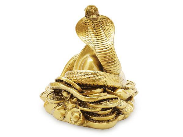 Sinh năm 1989 mệnh gì - Giải mã tử vi sinh nam nữ sinh năm 1989
