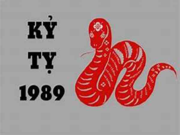 Tổng quan tử vi nam mạng sinh năm 1989 mệnh gì