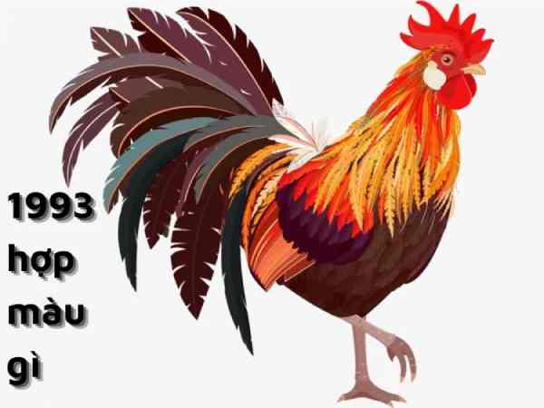  Người sinh 1993 hợp màu gì?
