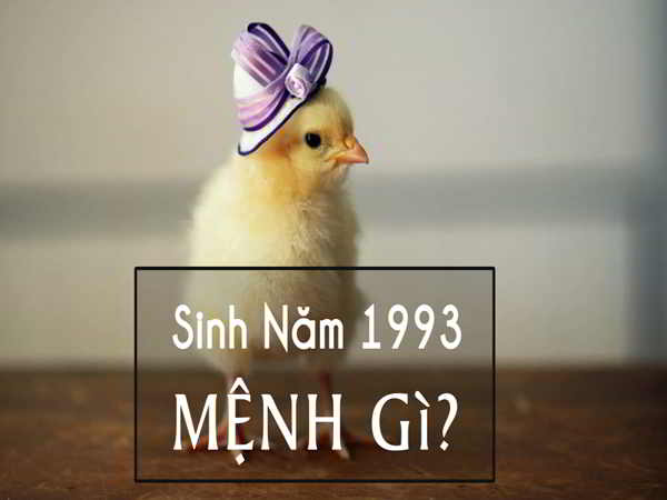 Sinh năm 1993 mệnh gì, hợp màu gì, hướng nào?