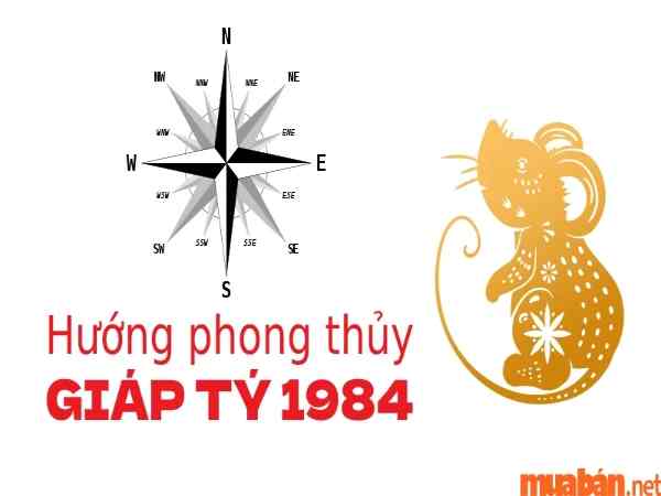 Người sinh 1984 hợp hướng nào?