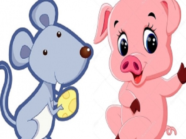 Tuổi Tý và tuổi Hợi có hợp nhau hay không?