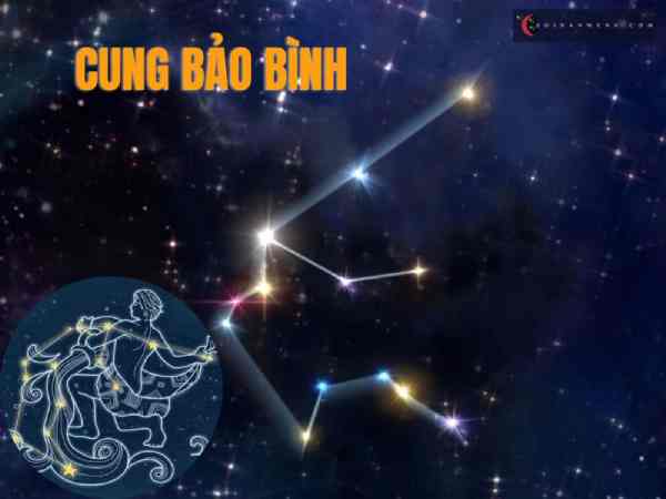 cung hoàn đạo hướng nội