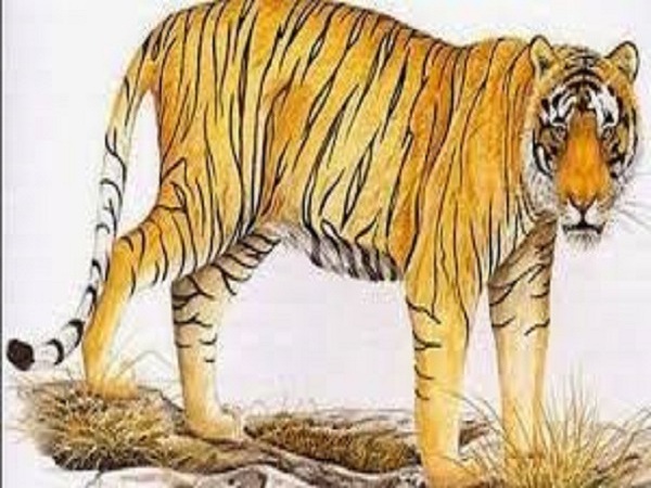 Tuổi Dần hợp với tuổi gì 