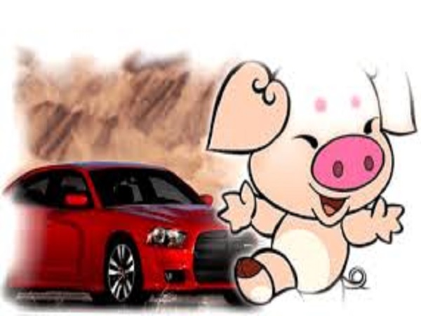 Tuổi Ất Hợi nên mua xe ngày nào để gặp may mắn?