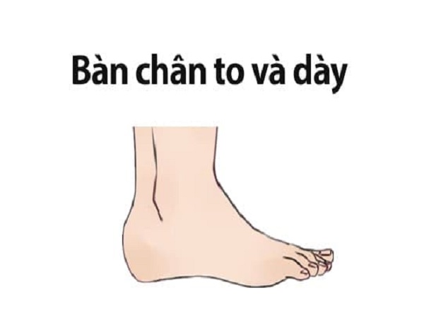Xem tướng phụ nữ có bàn chân to đoán vận mệnh, tính cách