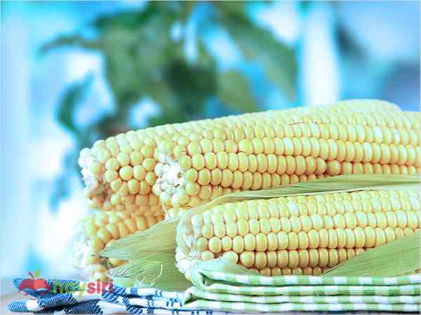Ngủ mơ thấy có người cho bắp ngô