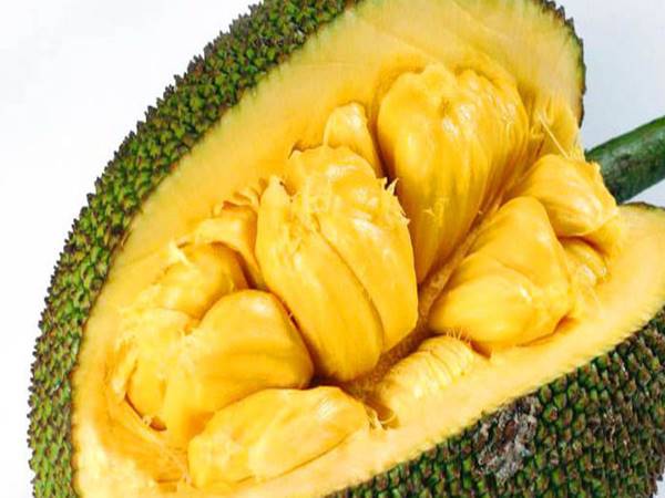 Mơ thấy quả mít có điềm tốt hay xấu? đánh số nào trúng?