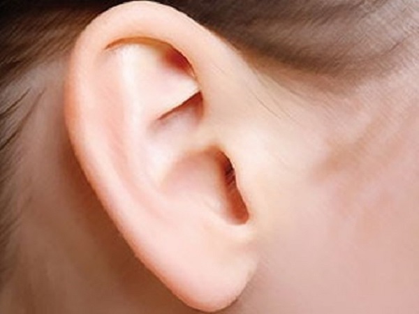 Xem tướng tai chuột ở đàn ông và phụ nữ nói lên điều gì?