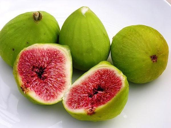 Nằm mơ thấy quả sung đánh con gì ăn chắc - Ý nghĩa chiêm bao thấy quả sung