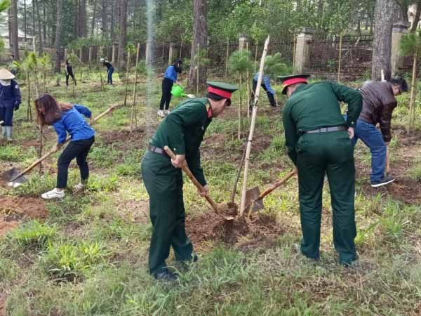 Nằm mơ thấy trồng cây đánh số mấy, có điềm báo gì