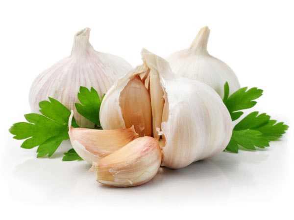Nằm mơ thấy củ tỏi đánh con gì