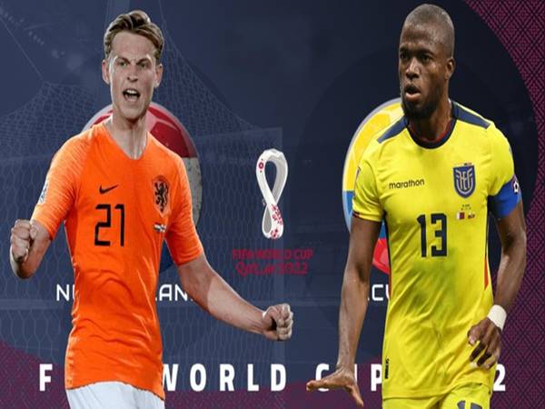 Dự đoán bóng đá giữa Hà Lan vs Ecuador, 23h00 ngày 25/11