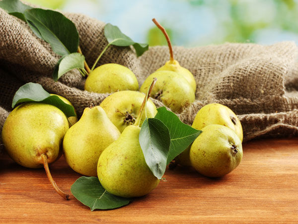 Nằm mơ thấy quả lê đánh con gì có ý nghĩa gì đặc biệt