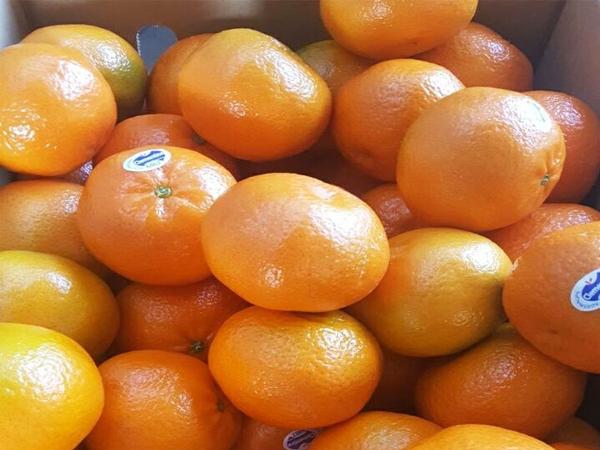 Nằm mơ thấy quả quýt đánh con gì may mắn có điềm báo gì 