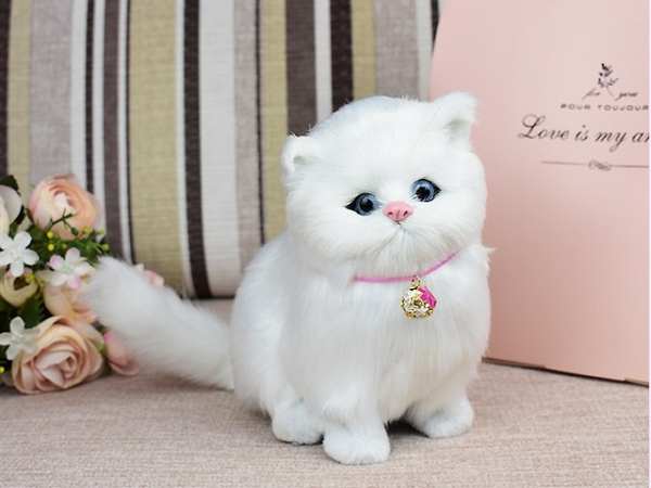 Nằm mơ thấy mèo trắng