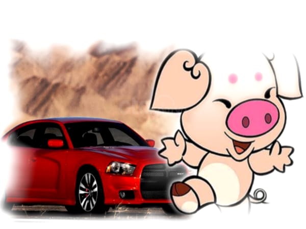 Tuổi Ất Hợi mua xe ngày nào