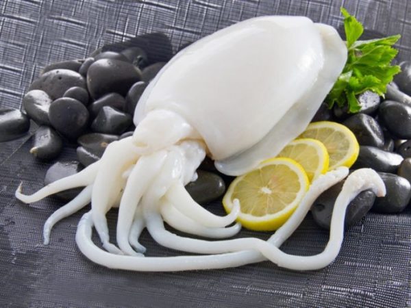 Ý nghĩa của việc nhìn thấy con mực