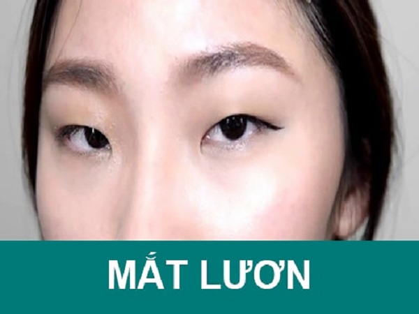 Xem tướng mắt ác: Mắt lươn