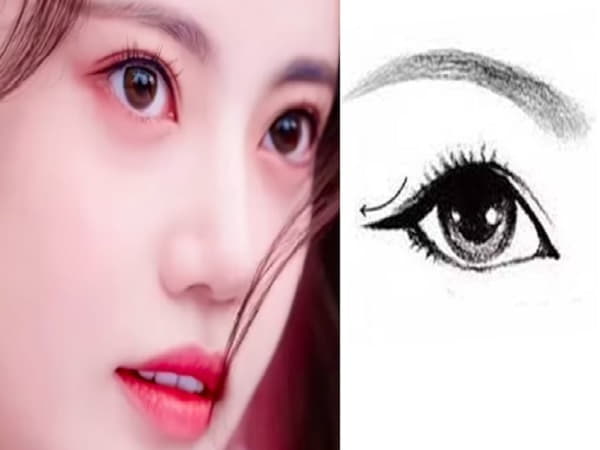 Tướng mắt hồ ly có sự nghiệp và cuộc sống như nào?