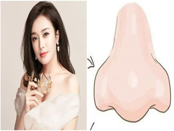 Sự nghiệp và tài lộc người có tướng mũi Lân
