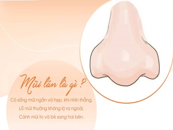 Đặc điểm tướng mũi lân