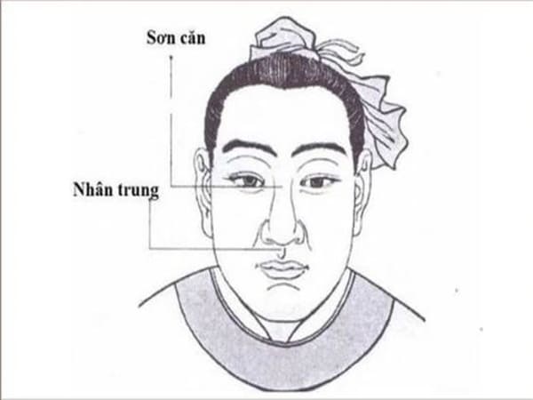 Tướng mũi Trâu là gì ?