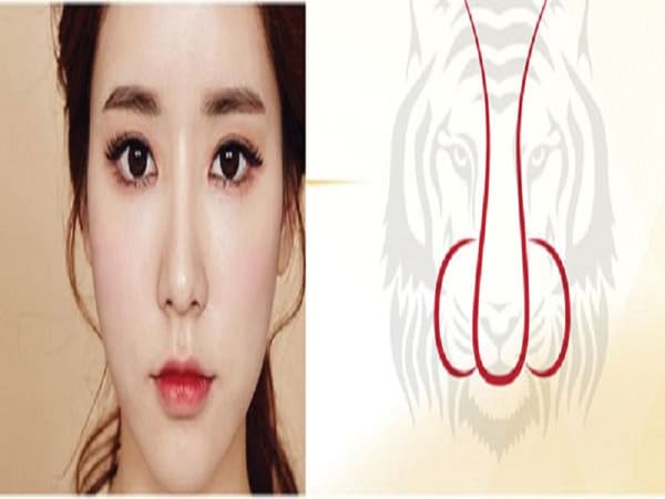 Tướng mũi hổ là gì