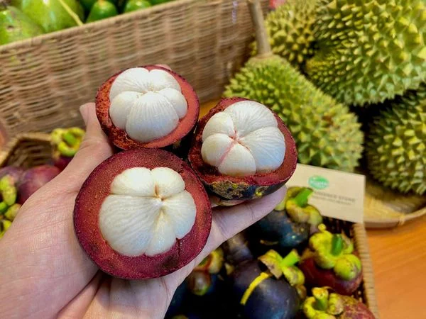 Bắt gặp thấy quả măng cụt mua vé số con gì trúng lớn