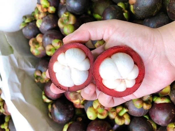 Bắt gặp thấy quả măng cụt mua vé số con gì trúng lớn