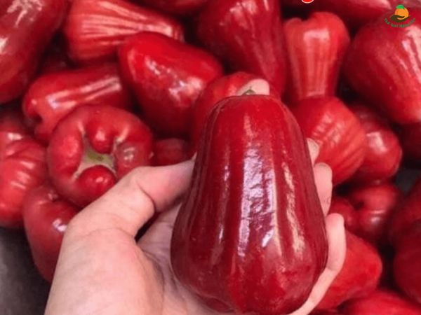 Trông thấy quả roi có điềm báo may mắn hay xui xẻo