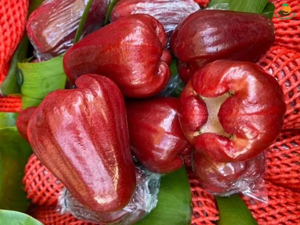 Trông thấy quả roi có điềm báo may mắn hay xui xẻo
