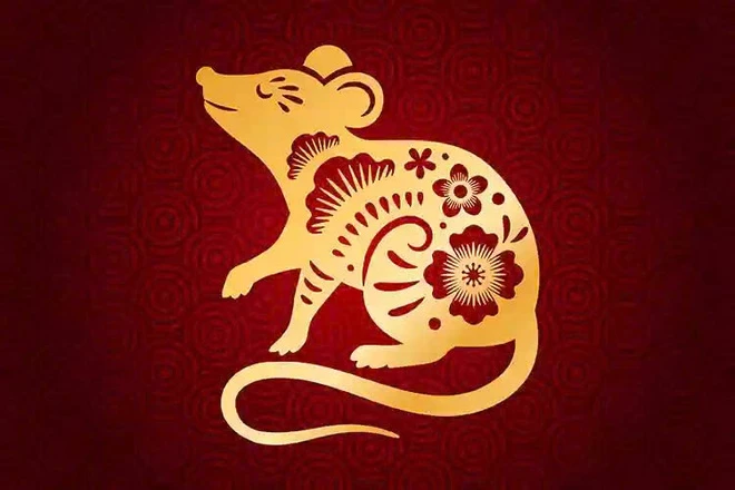 Tham khảo số may mắn tuổi Tý