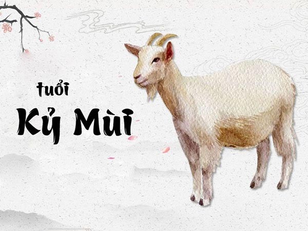 Chi tiết tử vi tuổi Kỷ Mùi ngày 26/2/2025 thứ 4 hôm nay