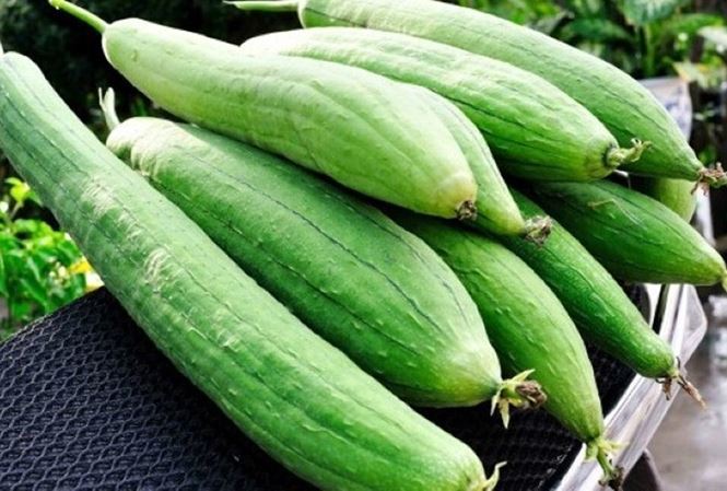 Điềm báo tài lộc hay khó khăn khi nhìn thấy quả mướp?