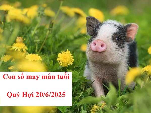 Luận giải con số may mắn tuổi Quý Hợi ngày 20/6/2025