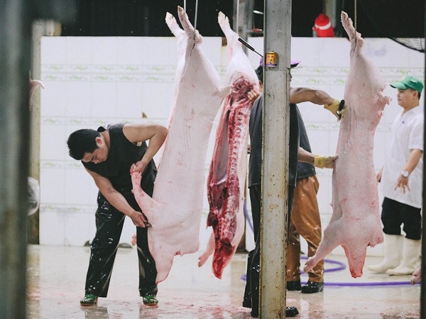 Luận giải nằm mơ thấy làm thịt heo có mang tới may mắn