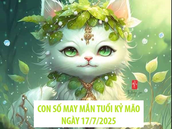 Luận giải con số may mắn tuổi Kỷ Mão ngày 17/7/2025