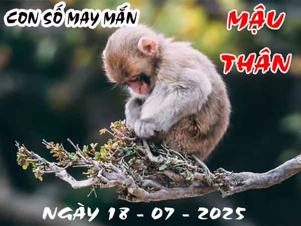 Cặp số đẹp tuổi Mậu Thân ngày 18/7/2025 thứ 6 hôm nay