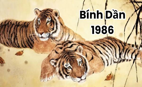Phân tích con số may mắn tuổi Bính Dần hôm nay đặc biệt