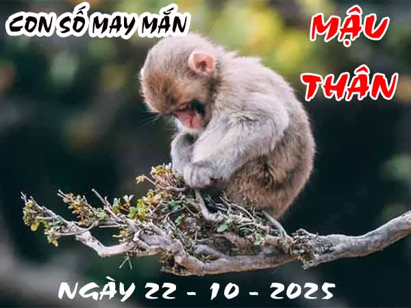 Con số tài lộc tuổi Mậu Thân ngày 22/10/2025 thứ 4 hôm nay