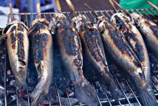 Nằm mơ thấy ăn cá là dấu hiệu của phú quý hay lo toan?