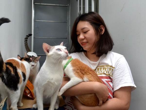 Chiêm bao thấy nuôi mèo trắng