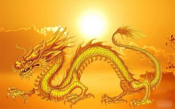 Tổng quan vận trình tử vi tuổi Bính Thìn 12/10/2025
