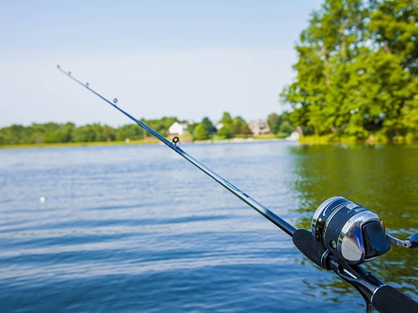 Nằm mơ thấy đi câu cá là điềm gì, hên hay xui?