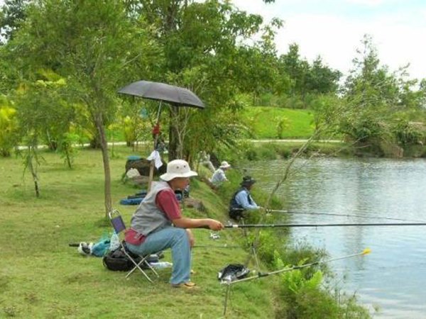 Nằm mơ thấy đi câu cá là điềm gì, hên hay xui?