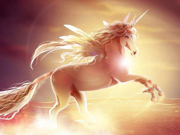 Ngủ mơ thấy ngựa con