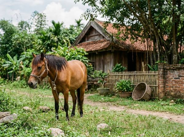 Con số may mắn ngày 30 tháng 6 thứ 3 của tuổi Ngọ